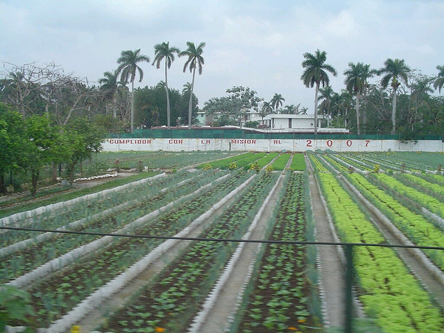 Produce Industry Excited about Future Trade with Cuba